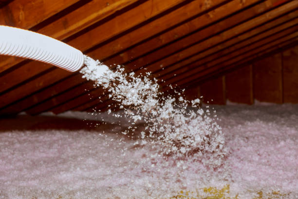 Best Insulation Contractor Near Me  in Allegan, MI