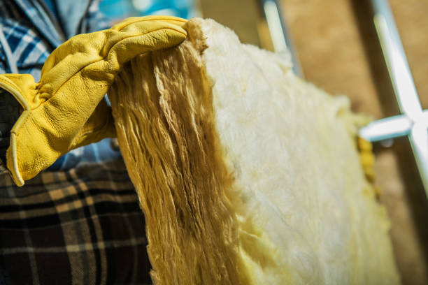 Best Garage Insulation Installation  in Allegan, MI