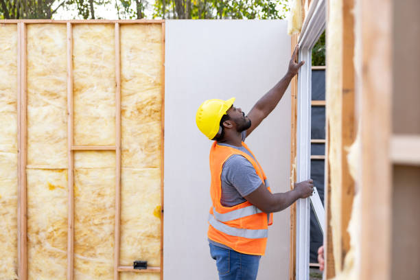 Best Home Insulation Services  in Allegan, MI