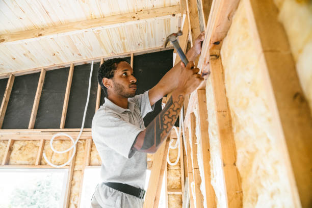 Best Insulation Contractors for Homes  in Allegan, MI