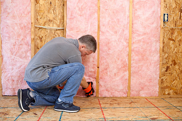 Best Attic Insulation Installation  in Allegan, MI