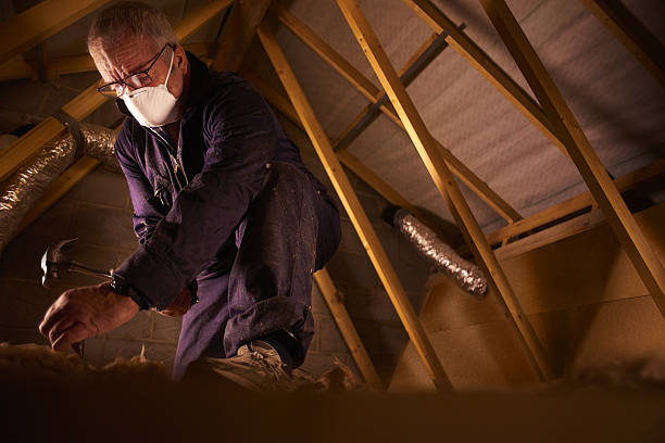 Attic Insulation Near Me in Allegan, MI