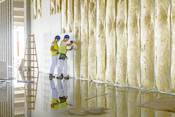 Best Best Insulation Companies  in Allegan, MI